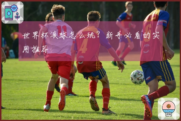 世界杯滚球怎么玩？新手必看的实用推荐