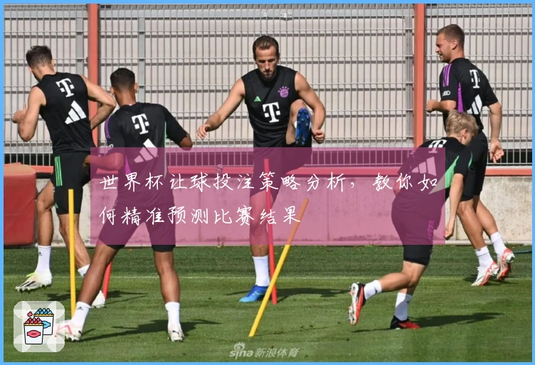 世界杯让球投注策略分析，教你如何精准预测比赛结果