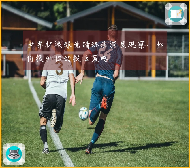 世界杯滚球竞猜玩法深度观察，如何提升你的投注策略