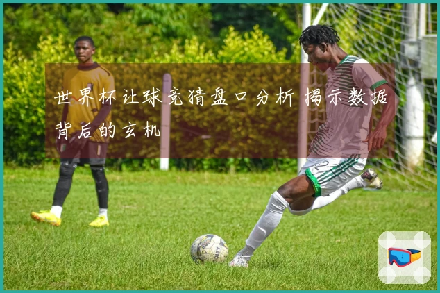 世界杯让球竞猜盘口分析 揭示数据背后的玄机