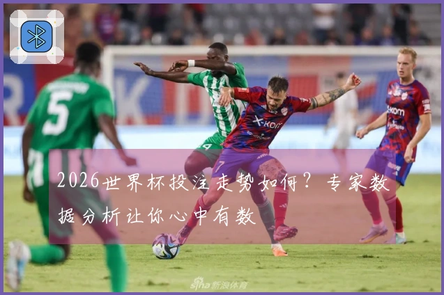 2026世界杯投注走势如何？专家数据分析让你心中有数