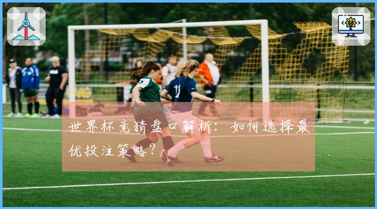 世界杯竞猜盘口解析：如何选择最优投注策略？