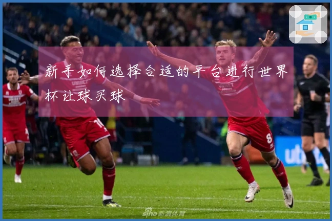 新手如何选择合适的平台进行世界杯让球买球