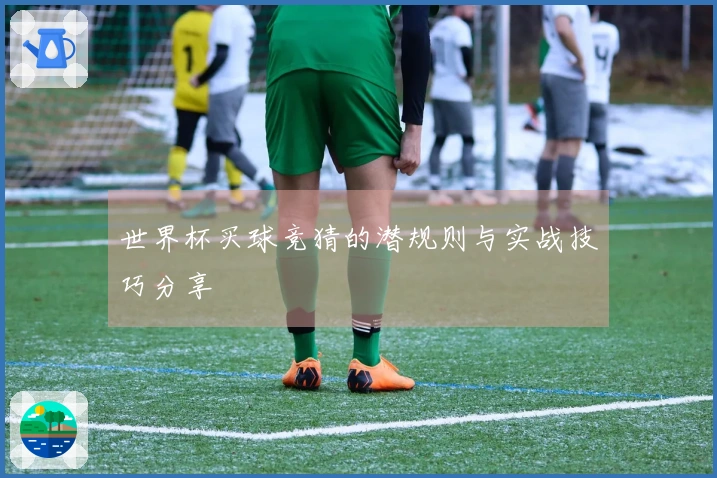 世界杯买球竞猜的潜规则与实战技巧分享