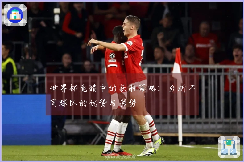 世界杯竞猜中的获胜策略：分析不同球队的优势与劣势