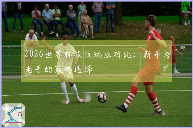 2026世界杯投注玩法对比：新手与老手的策略选择