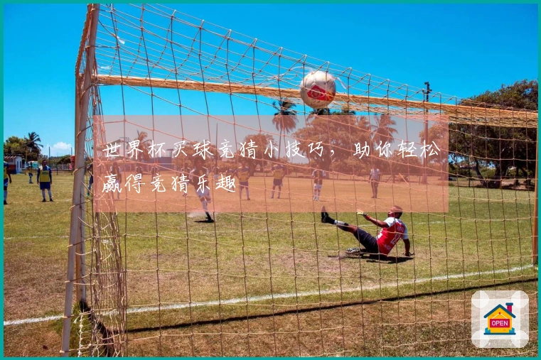 世界杯买球竞猜小技巧，助你轻松赢得竞猜乐趣