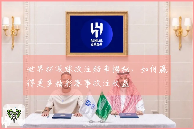 世界杯滚球投注赔率揭秘，如何赢得更多精彩赛事投注收益