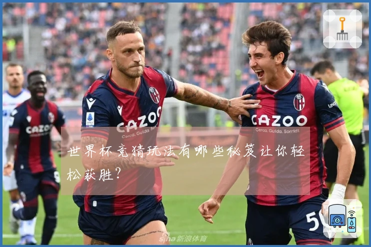世界杯竞猜玩法有哪些秘笈让你轻松获胜？
