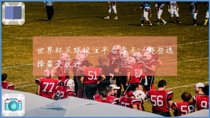 世界杯买球投注平台盘点：哪些选择最受欢迎