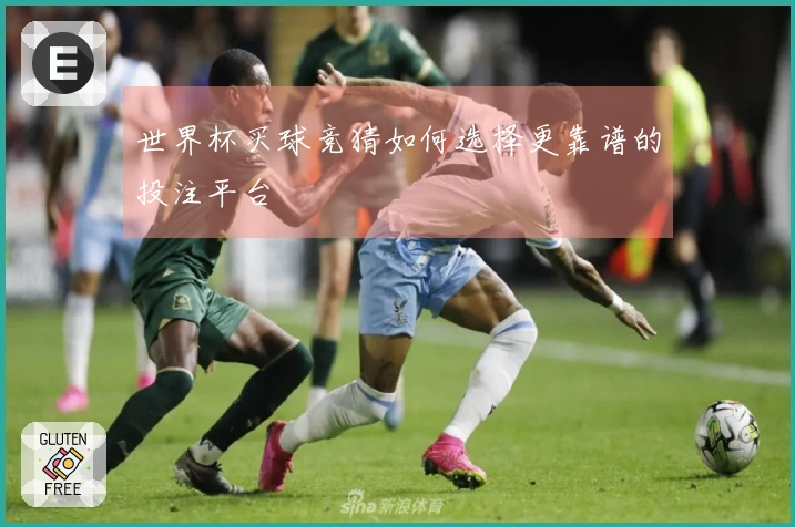 世界杯买球竞猜如何选择更靠谱的投注平台